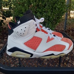 Jordan 6 Retro Gatorade size 10